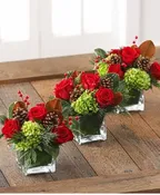 3 PIECE CHRISTMAS TRIO