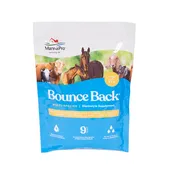 Bounce Back® Electrolyte Supplement