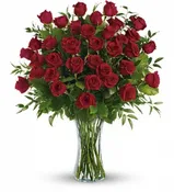 3 DOZEN ROSES