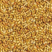 Ale House Beer Nuts - Natural