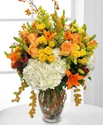AMBER GRANDEUR