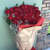 Long Stem Red Roses Wrap 4 Dozen
