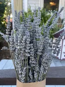 Dried Lavender Bundle — Carolina Charm