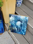 Jellies - No. 3 in Maui Benefit Series - 12x12