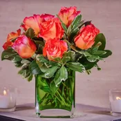 Simply Roses