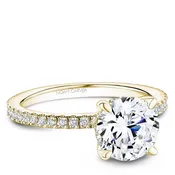14 Karat Yellow Gold Hidden Halo Engagement Ring