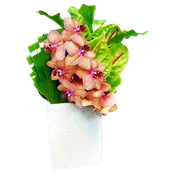 AF 150-26 Tropical Orchids & Green Anthuriums In White Textured Vase Floral Arrangement