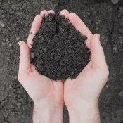 Two-Way Topsoil