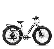 E-Bike USA - Amazing W 26" Fat Tire E-Bike — Rogan E-Bikes | St. Petersburg, FL
