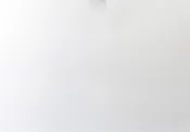 Absolute White Honed Marble Slab Random