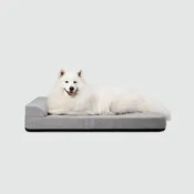 Bolstr Evolv Bed