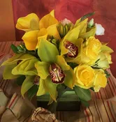 Grappolo di Cymbidium