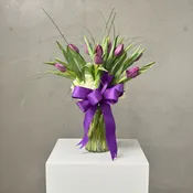 Passionate Purple Tulips