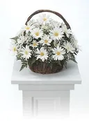 Daisys basket