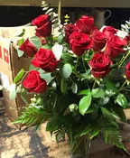 2N DOZEN RED ROSES