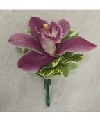 DEEP PINK CYMBIDIUM ORCHID