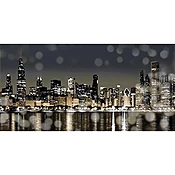 Chicago Skyline II