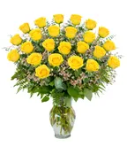 2 DOZEN YELLOW ROSES