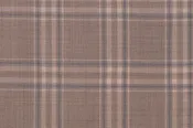 Beige Check 100% Wool (Ref-842024)
