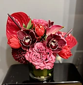 Beauty