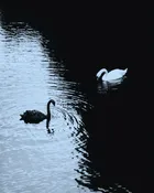 Shapeshifting: Befriending the Void with DELTAVENUS — Myths of Creation