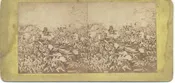 Battle of Gettysburg Stereoview Scene #489