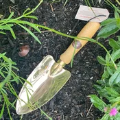 Bronze Trowel — Hedgerow