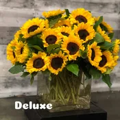 Sunflower Fields