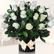 Daphne Deluxe (White)