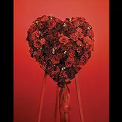 All Rose Heart