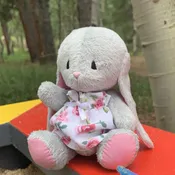 Bunny, Dress