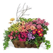 Blooming Basket
