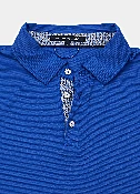 Albion Polo
