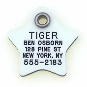 Glow-In-The-Dark Tag - Star