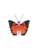 3D Wall Art - Butterfly - Large Fox Butterfly
