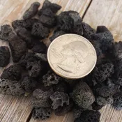 1 Lb 3/8 Black Volcanic lava Rock Cactus and Succulent Top Soil Dressing