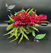 Exotic Reds
