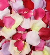 Bag of Rose Petals
