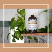 Castile Soap: Vanilla Chai - Tiani Body Care