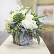 Succulent and Birch Beauty