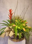 Designer Selection Planter Basket — The Flower Shoppe