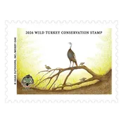 2026 Wild Turkey Stamp