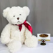 Teddy Bear Plush - White
