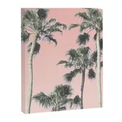 Blush Palms Canvas Print