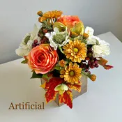 FALL-01