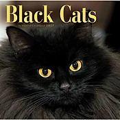 Black Cats 2027 Wall Calendar