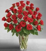 36 RED ROSES