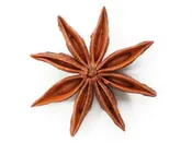 Anise, 5mL