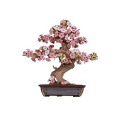 DIY Miniature Model Building Kit | Sakura Bonsai