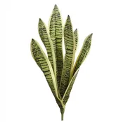 16" Sansevieria Plant  ( PPS302-VG )
